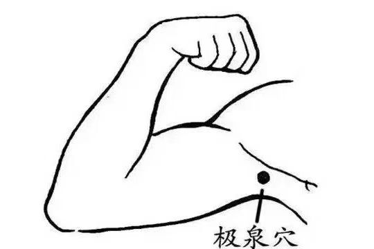 极泉穴