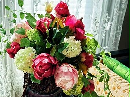 杨彩云诗歌及诗词六首