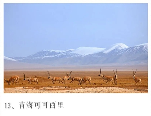 青海可可西里 青海可可西里