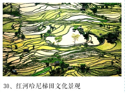 红河哈尼梯田 红河哈尼梯田