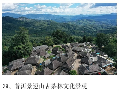 普洱景迈山 普洱景迈山