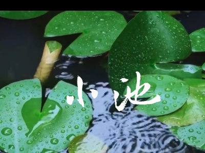 （视频）唱着歌儿学古诗--《小池》